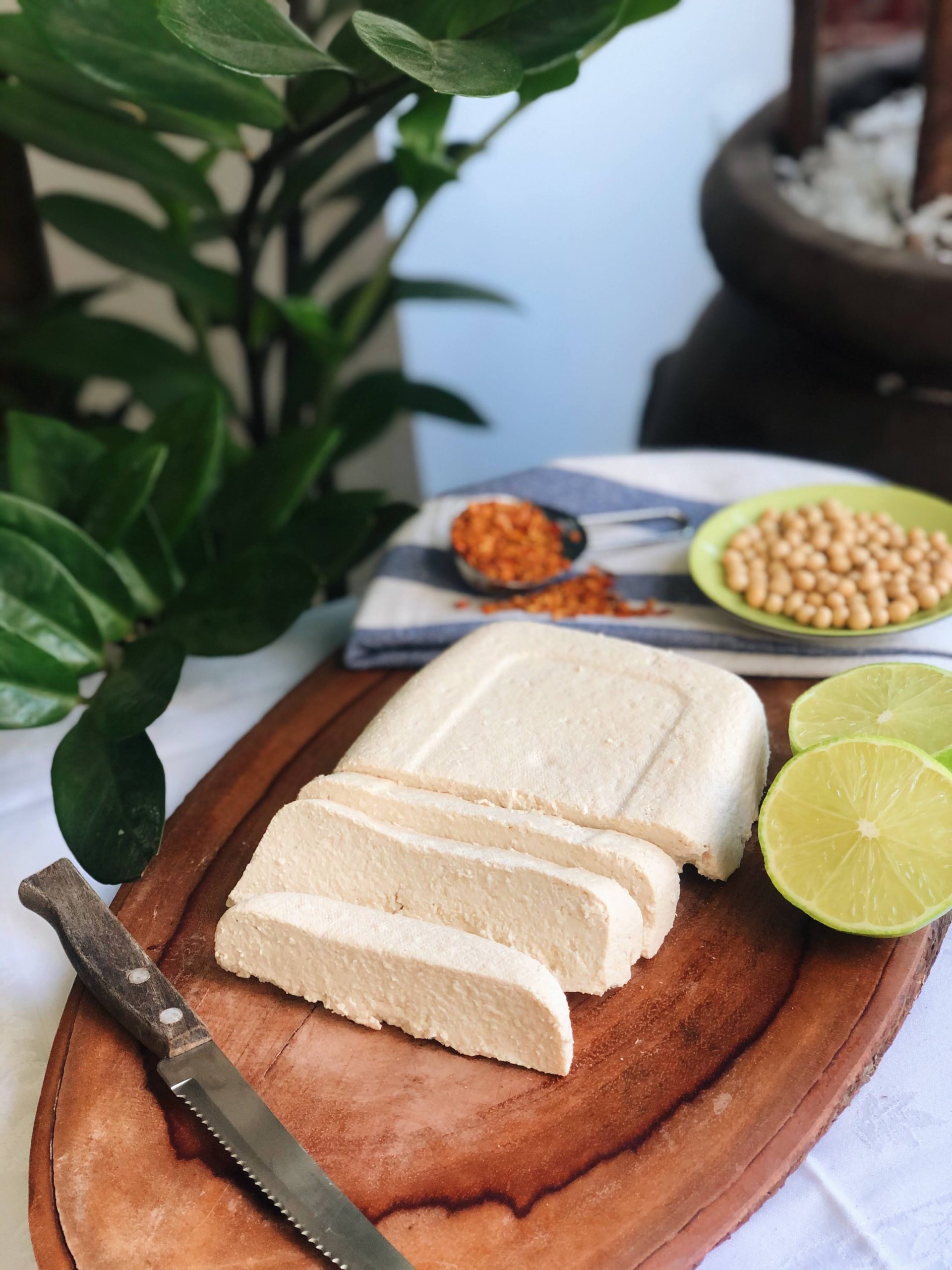 tofu caseiro vegano, sem glúten e barato
