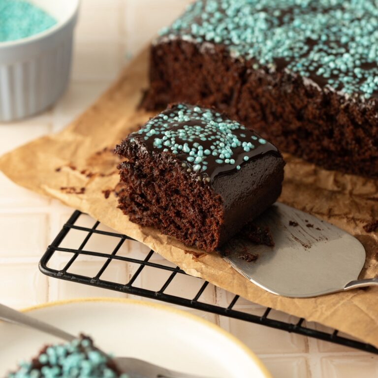 Bolo de chocolate vegano