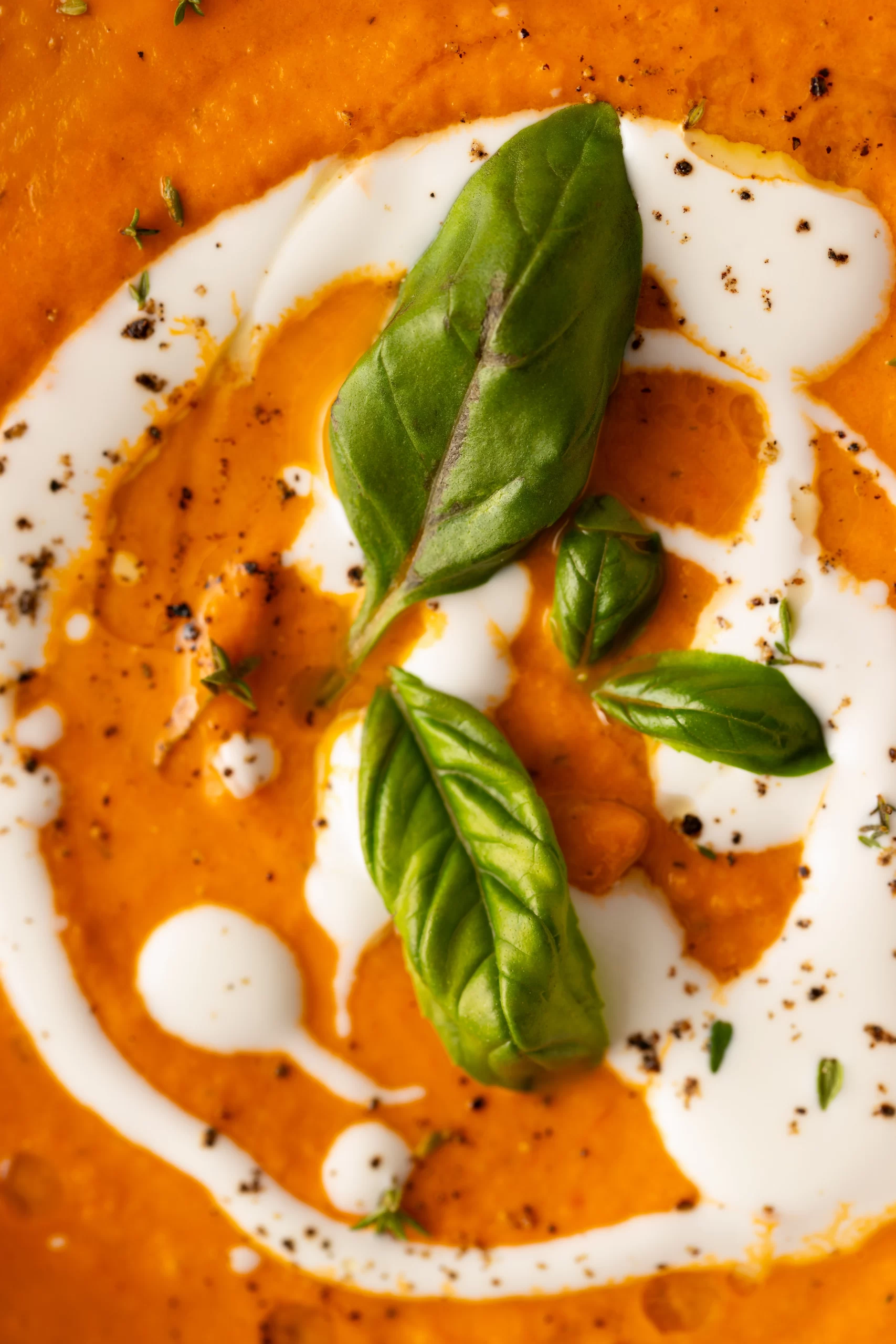 Sopa de Tomate