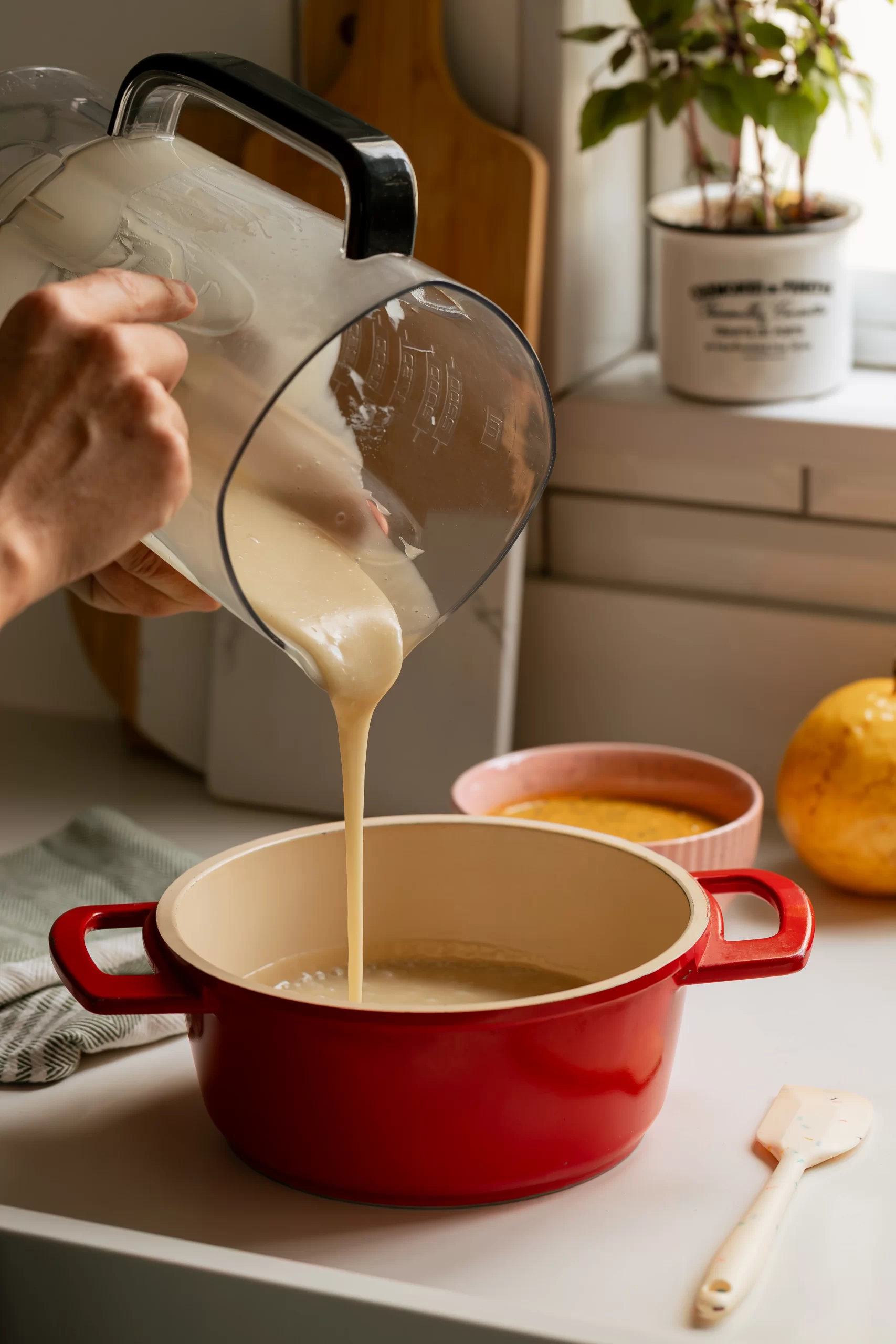 leite condensado de castanha de caju e leite de coco em pó vegano
