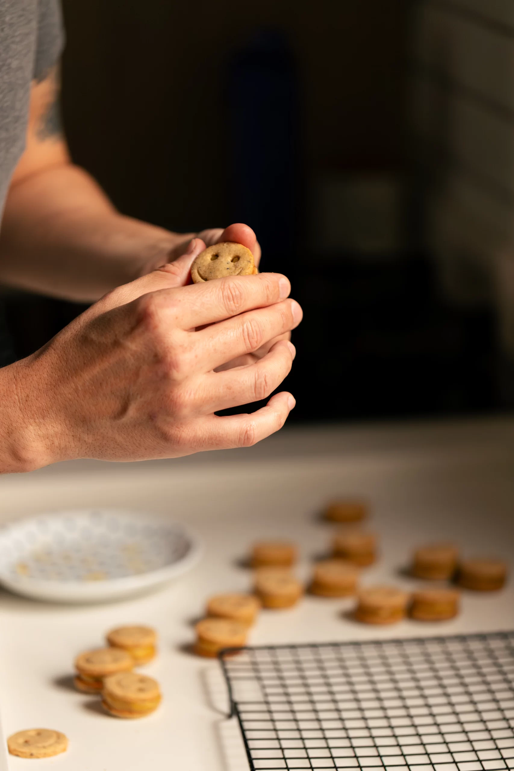 Trakinas de Maracujá Vegano