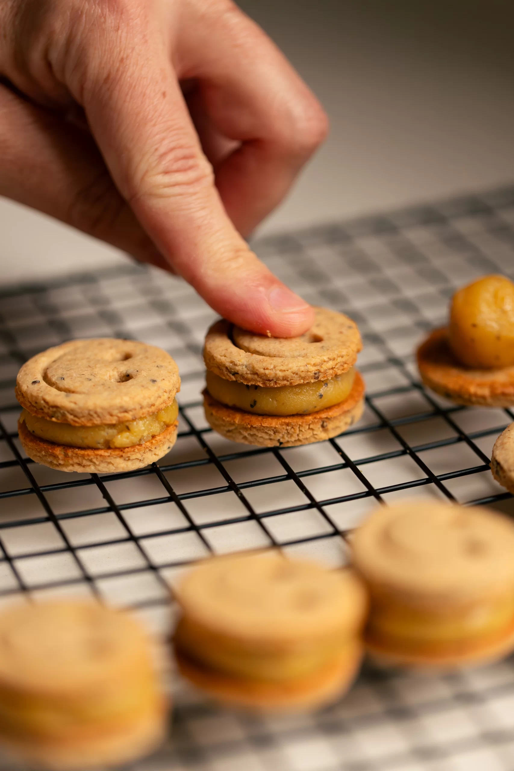 Trakinas de Maracujá Vegano