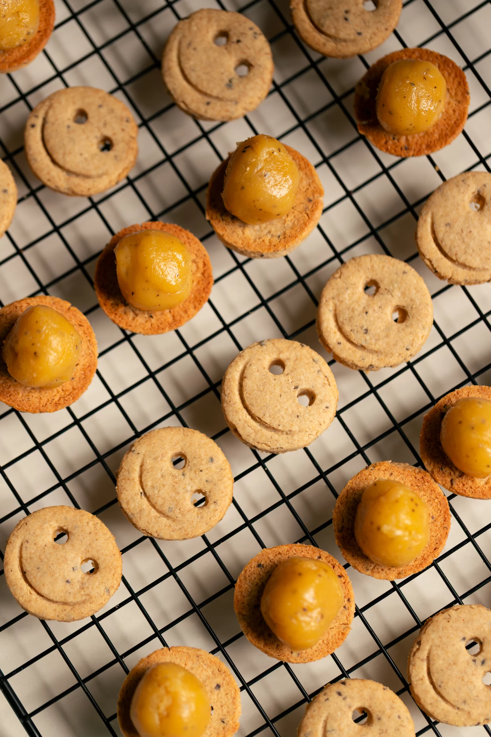 Trakinas de Maracujá Vegano